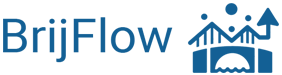 Brij Flow Logo